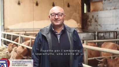 Schermata 2020-04-20 alle 18.19.52